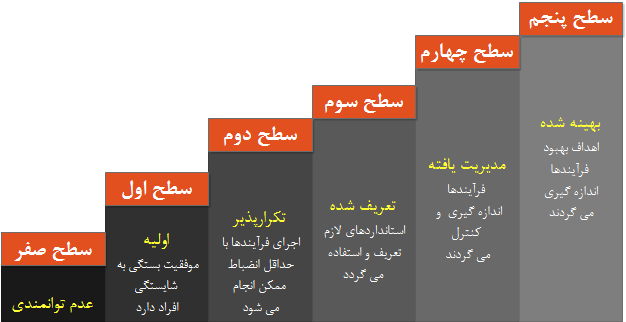  سطوح مختلف مدل ارزیابی توانمندی  