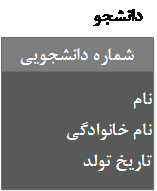      موجودیت دانشجو به همراه ویژگی های آن      